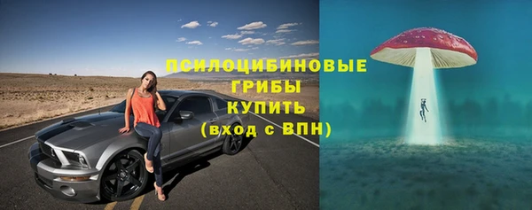 соль ск Аркадак