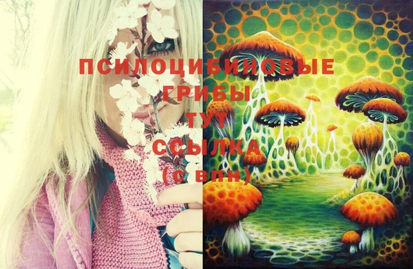 МДПВ Арсеньев