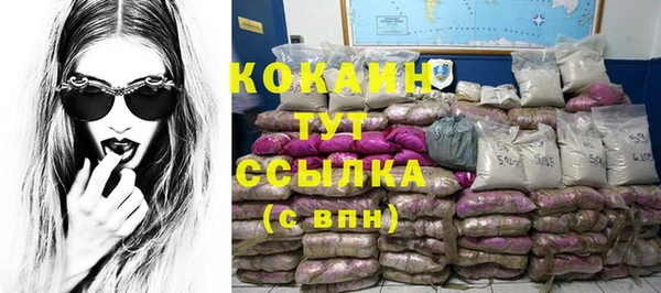 тгк Армянск