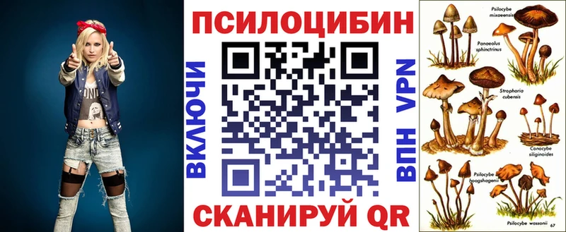 наркотики  Тогучин  Псилоцибиновые грибы ЛСД 